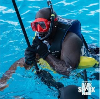 Jackass Shark Week 2.0 still 4