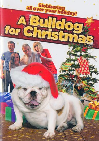 A Bulldog for Christmas still 7