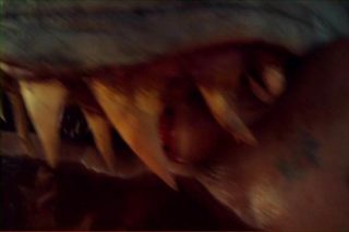 2-Headed Shark Attack still 7