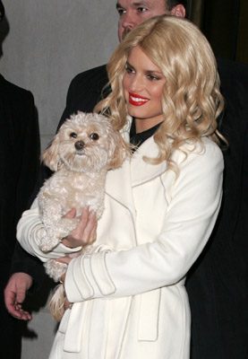 Blonde Ambition still 4