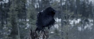 Witches in the Woods still 7