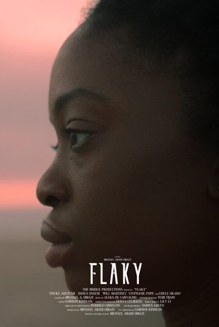 Flaky still 5