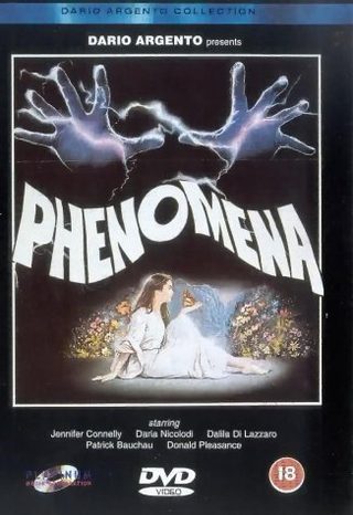 Phenomena still 5