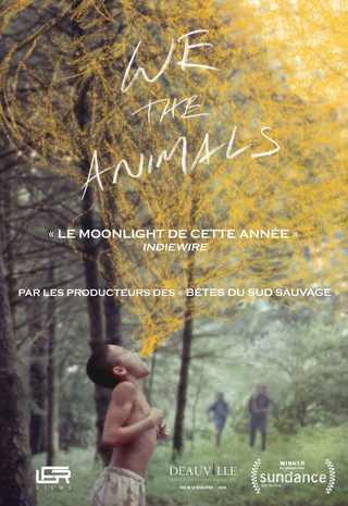 We the Animals still 4