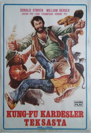 Kung Fu Brothers in the Wild West still 3