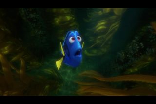 Finding Dory still 4