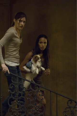 Quarantine still 6