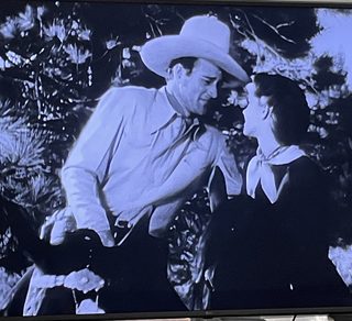 Born to the West still 4