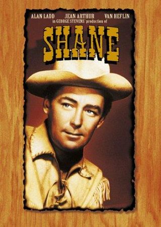 Shane still 8