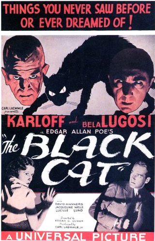 The Black Cat still 8