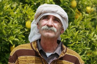 Lemon Tree still 1