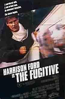 The Fugitive still 8
