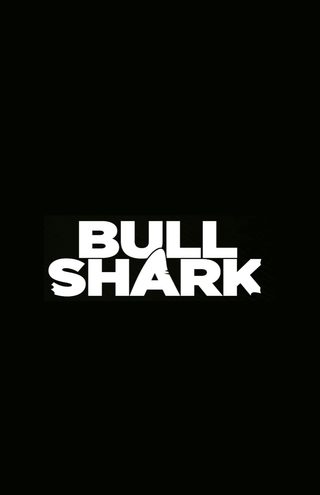 Bull Shark still 2