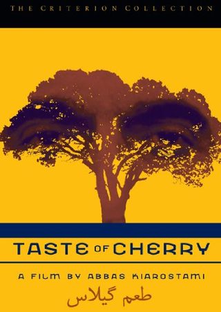 Taste of Cherry still 3