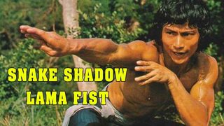 Snake Shadow, Lama Fist still 3