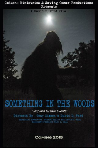 Something in the Woods still 2