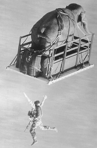 Operation Dumbo Drop still 8