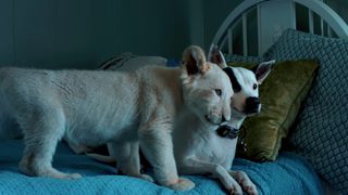 Lena and Snowball still 2