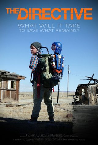 The Directive still 6