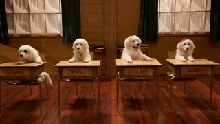 Santa Paws 2: The Santa Pups still 6
