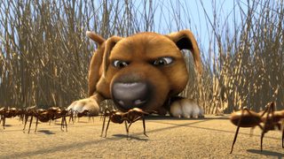 Jock the Hero Dog still 4