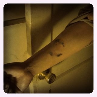 Paranormal Activity: The Marked Ones still 2