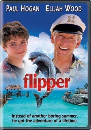 Flipper still 7