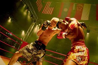 Shamo still 4
