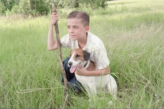 My Dog Skip still 7