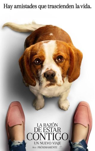 A Dog's Journey still 7
