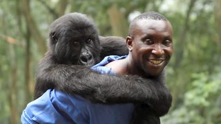 Virunga still 2