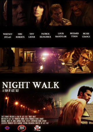 Night Walk still 2