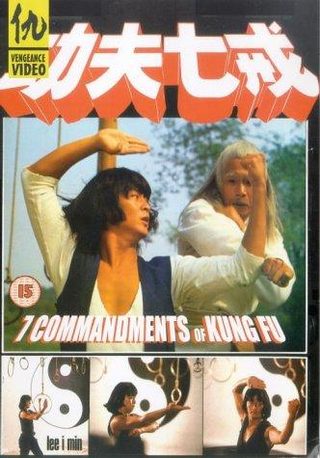 The Seven Commandments of Kung Fu still 2
