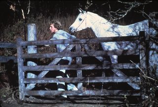 Equus still 7