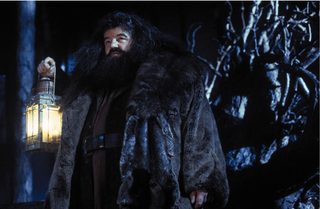 Harry Potter and the Sorcerer's Stone still 4