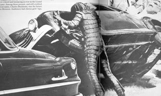 The Creature Walks Among Us still 3