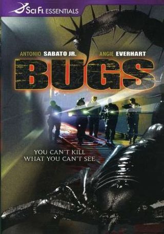 Bugs still 2