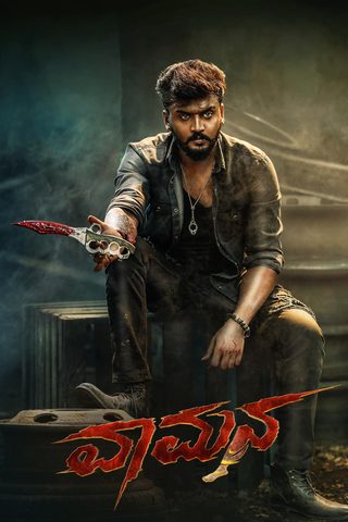 Vaamana still 6