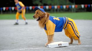 Air Bud: Seventh Inning Fetch still 1