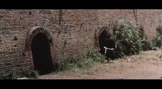 The Dragon vs. Needles of Death still 7