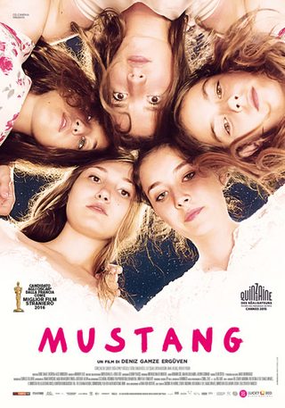 Mustang still 5