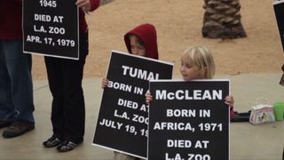 An Apology to Elephants still 6