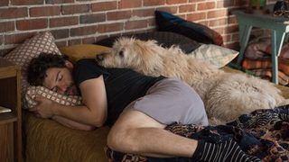 Dog Days still 4