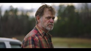 The Dogs still 8