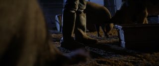 Pig Killer still 1