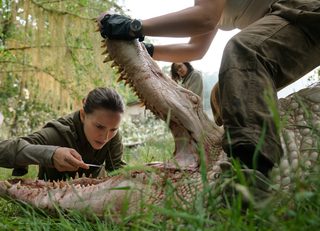 Annihilation still 2