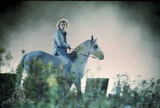 Equus still 5