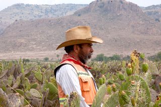 The Thin Yellow Line still 7