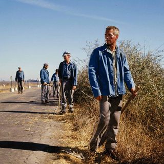 Cool Hand Luke still 6