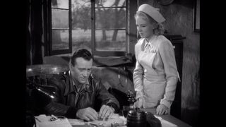 Flying Tigers still 5